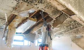 Best Mold Prevention Services  in Jamesburg, NJ